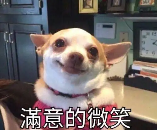 一隻小狗面露滿意笑容，圖中文字為「滿意的微笑」。